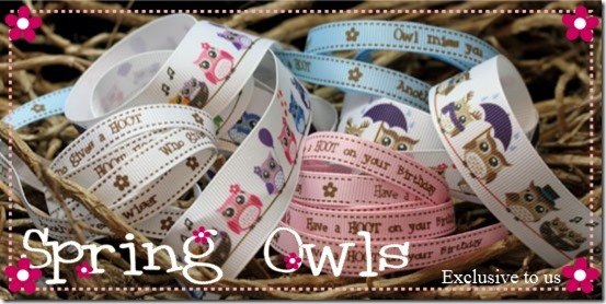 spring owl header